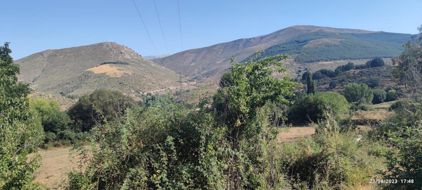 La Pasailla De Gredos Pensionat Navacepeda de Tormes Exteriör bild