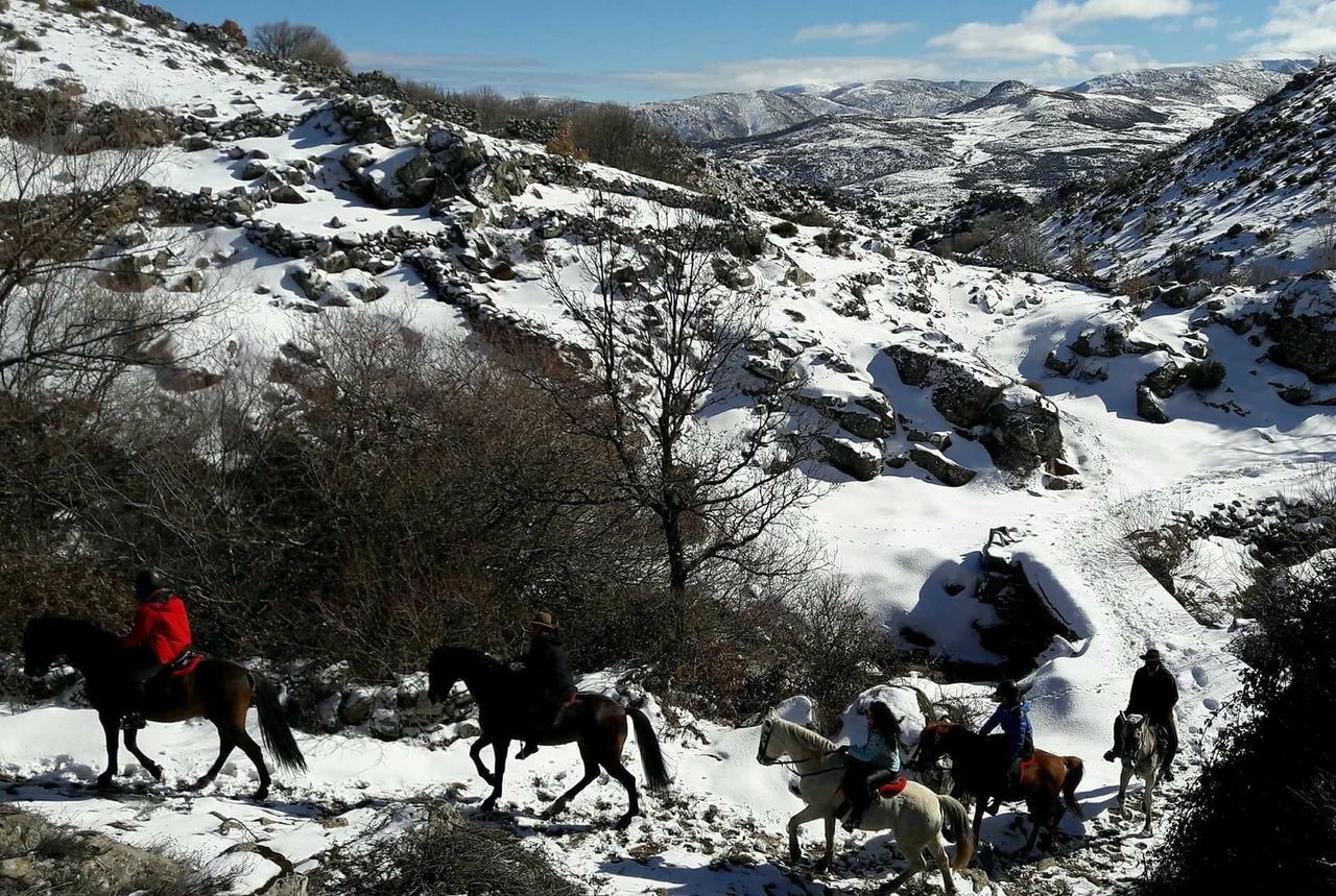 La Pasailla De Gredos Pensionat Navacepeda de Tormes Exteriör bild
